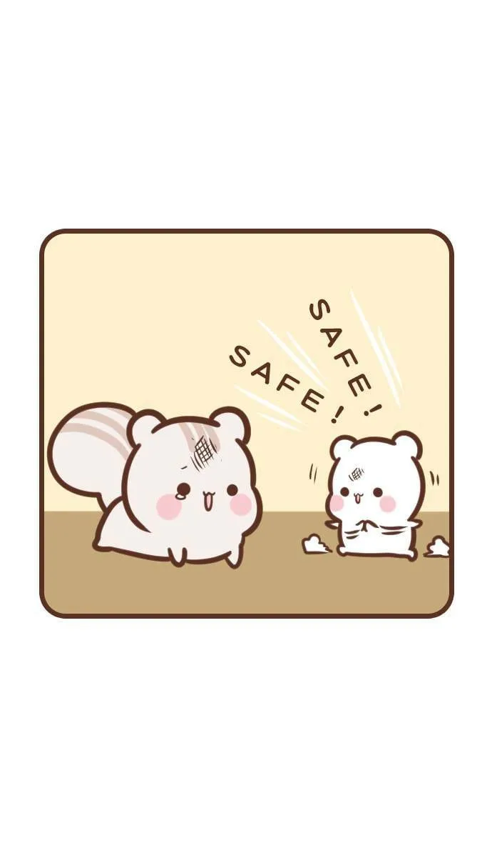 #110 Safe 第12页
