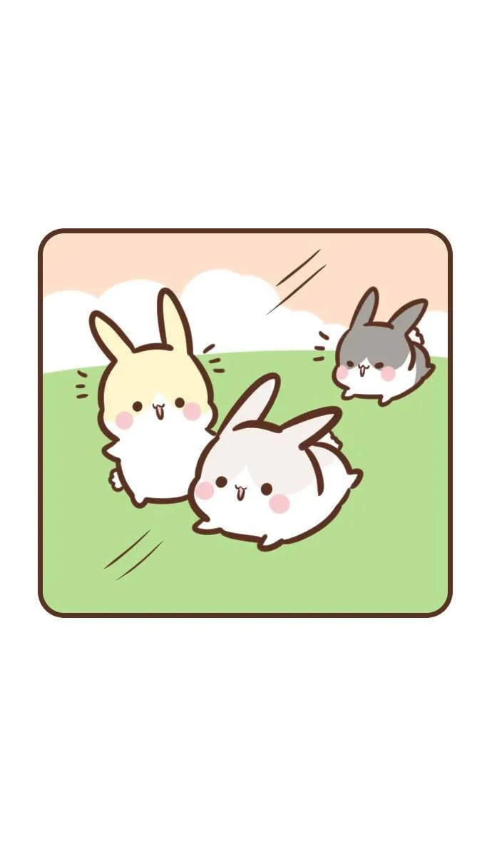 #112 兔猫 第2页