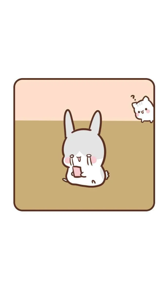 #112 兔猫 第3页