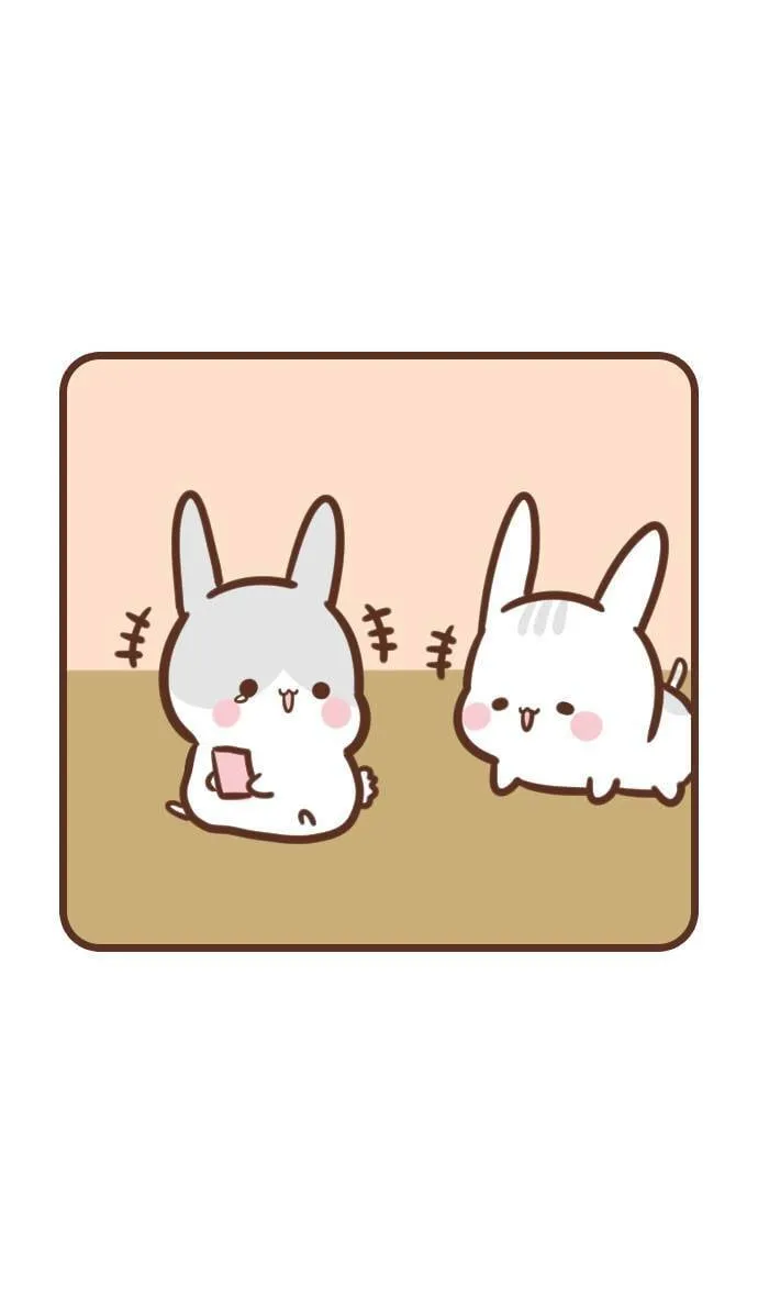 #112 兔猫 第7页