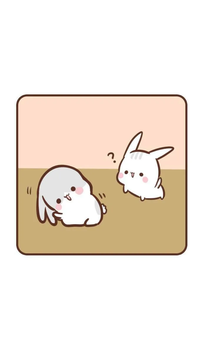 #112 兔猫 第12页