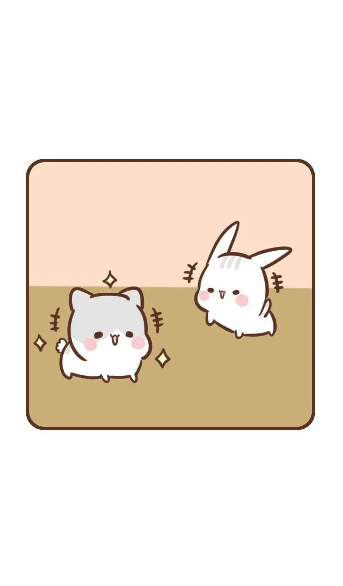 #112 兔猫 第13页