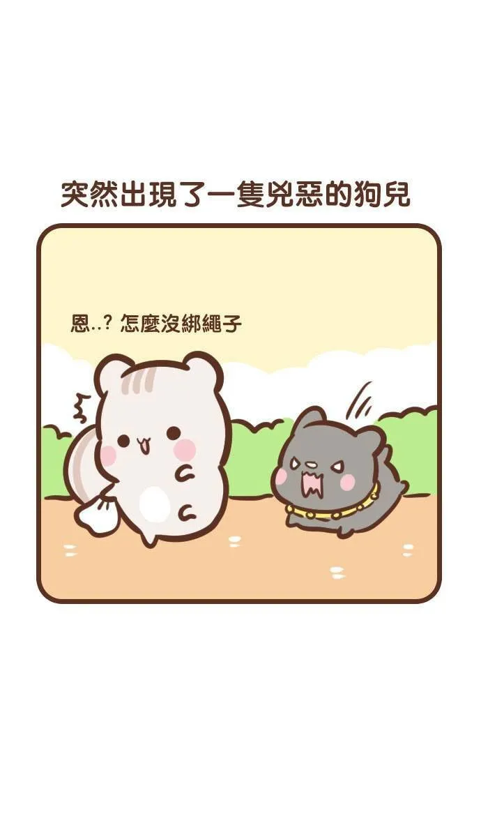 #114 晨跑 第6页