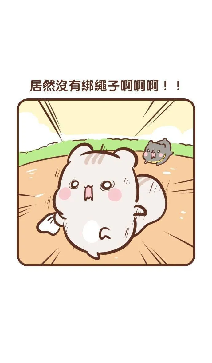 #114 晨跑 第7页