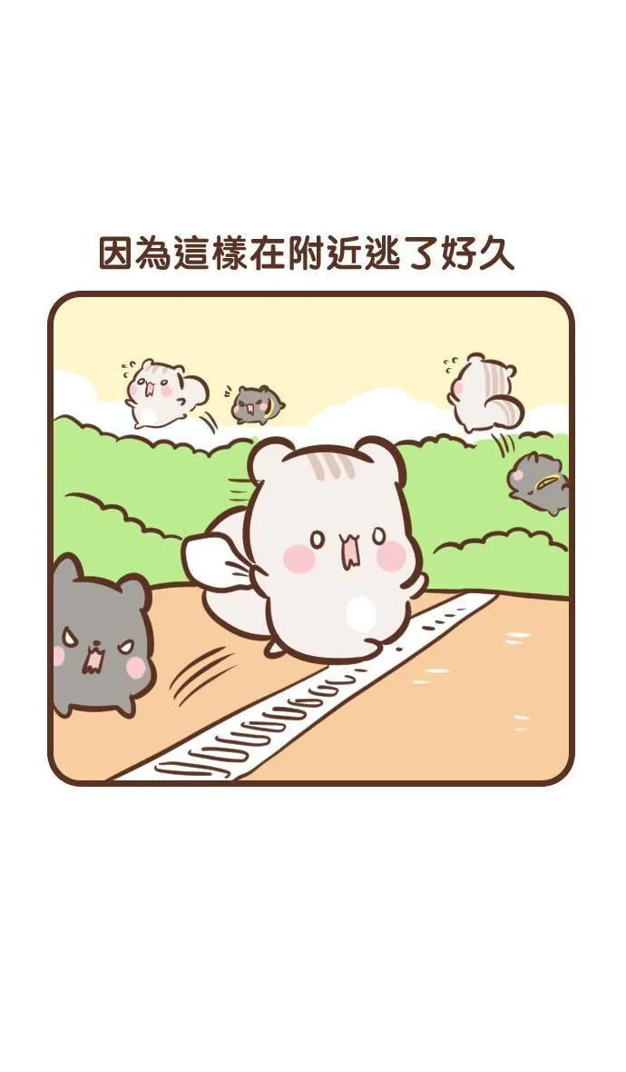 #114 晨跑 第8页