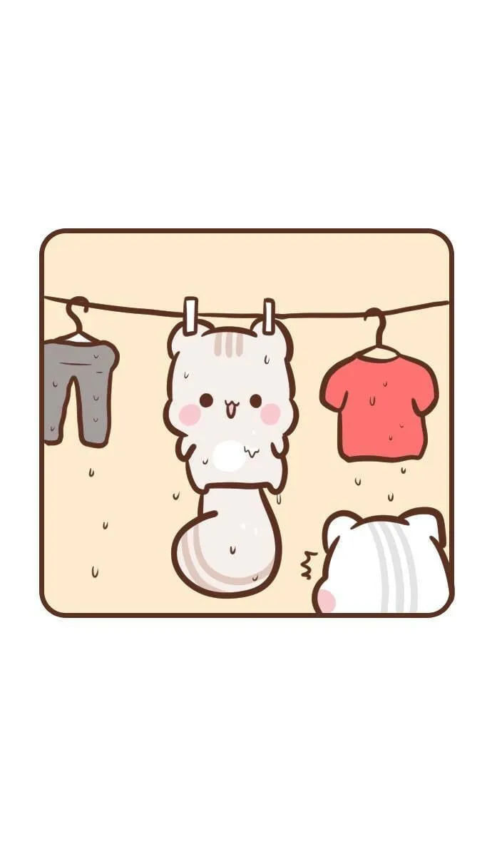 #140 洗衣机 第12页