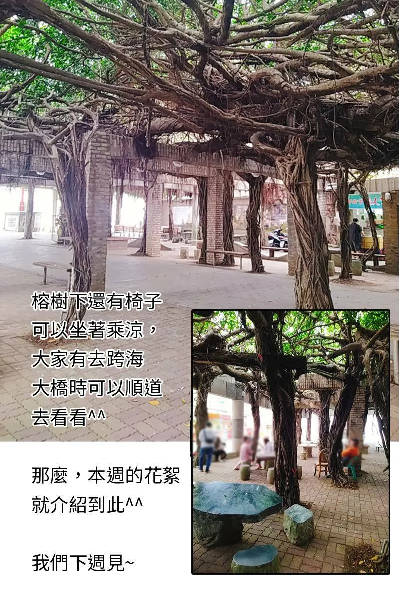 第15话 最美的风景是人(1) 第72页