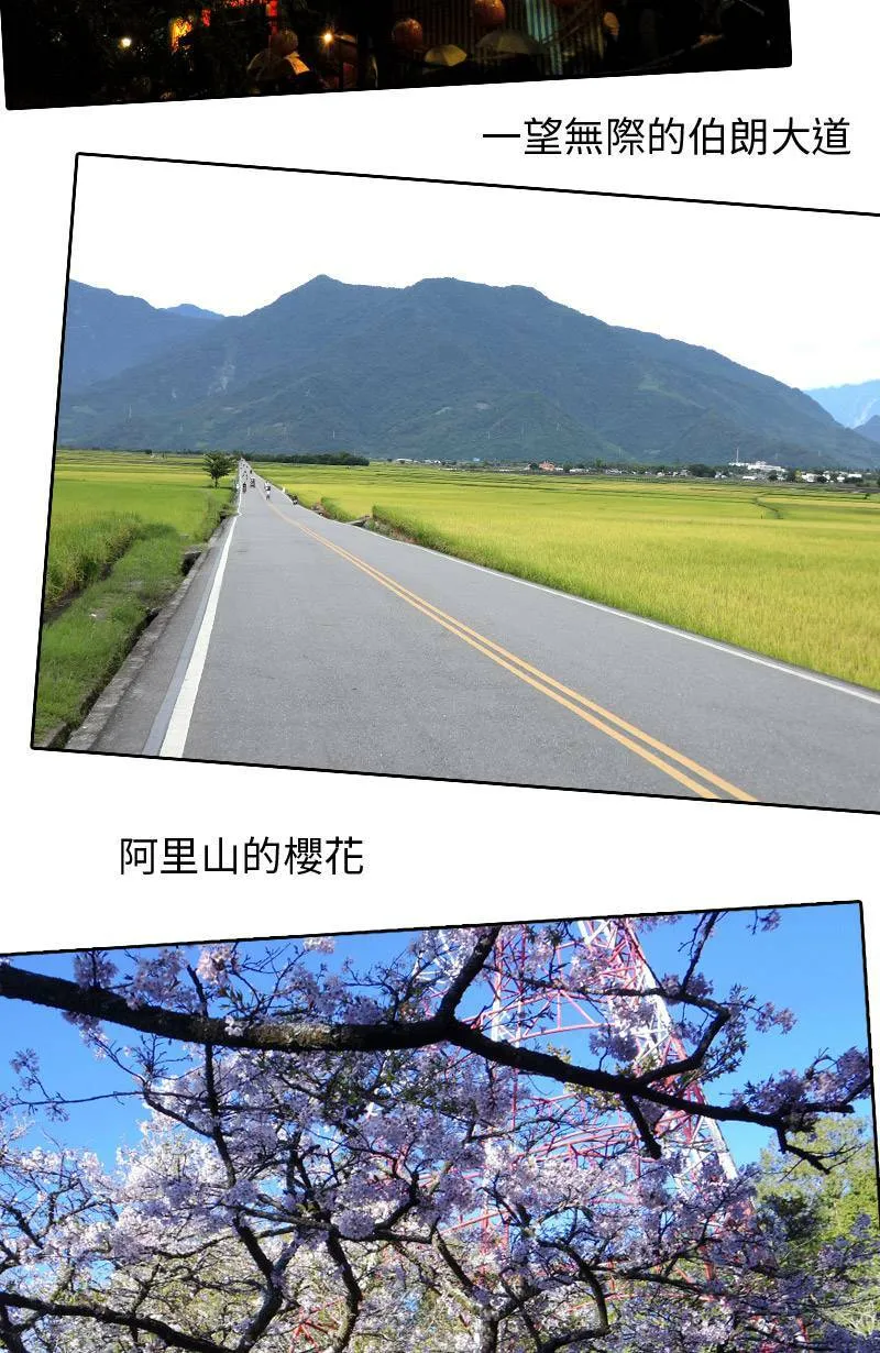 休刊花絮 第28页