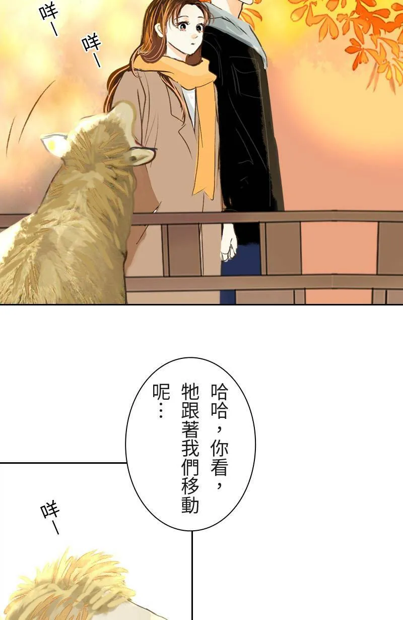 第42话 过夜旅行(下) 第43页