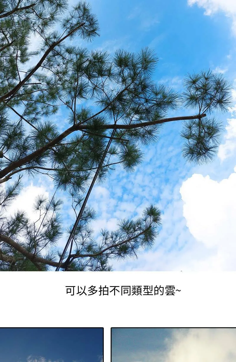 取材拍照心得小花絮 第2页