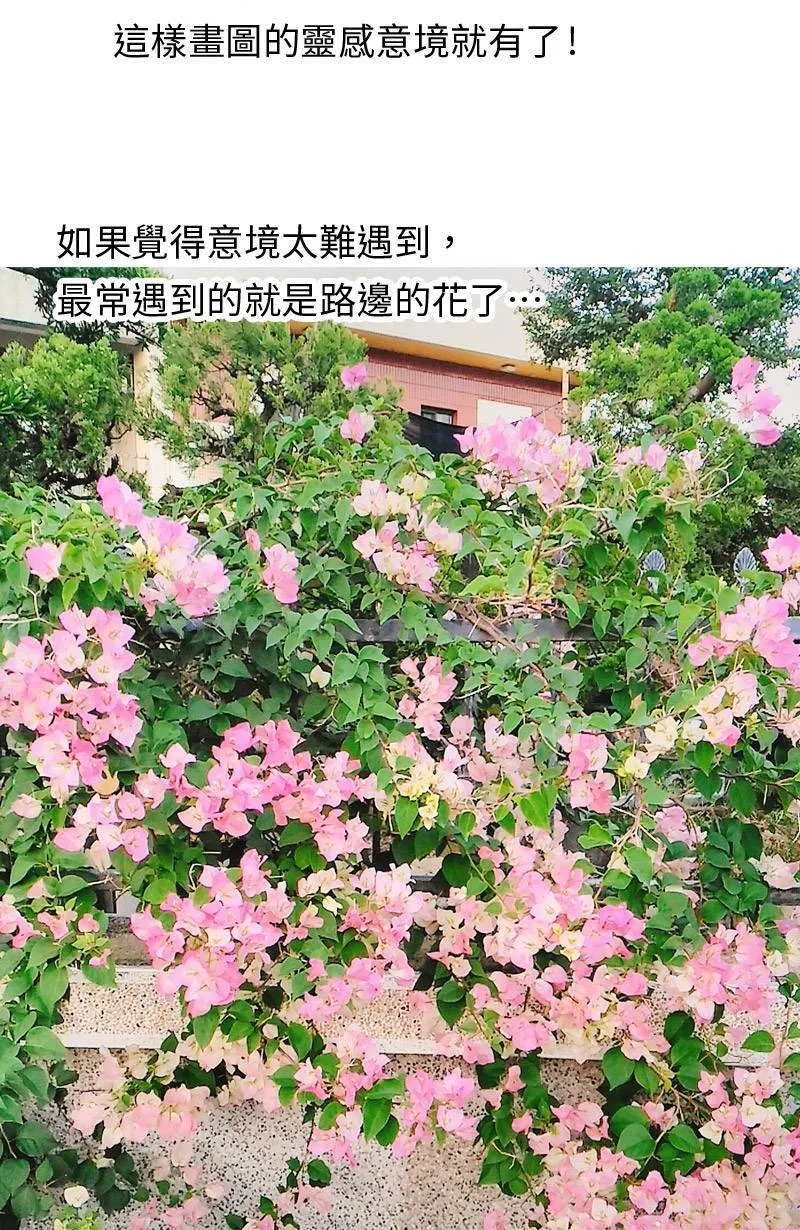取材拍照心得小花絮 第4页