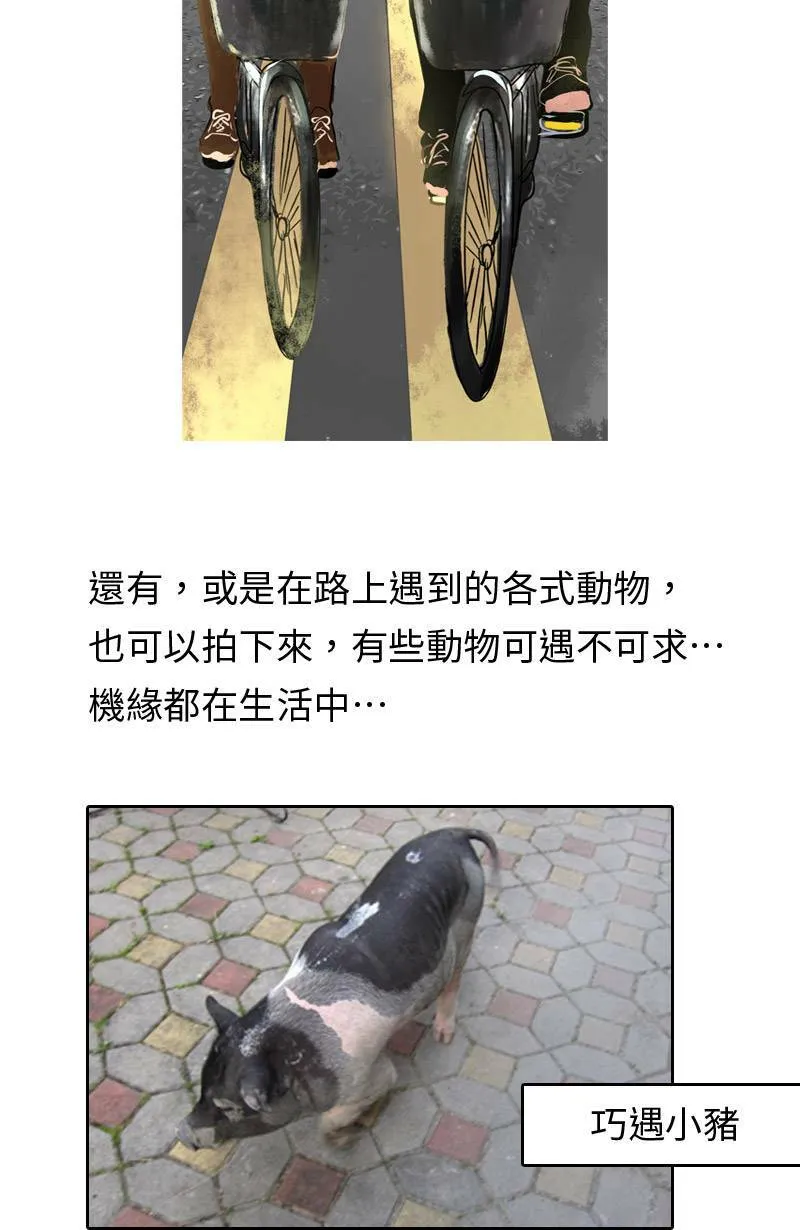 取材拍照心得小花絮 第10页