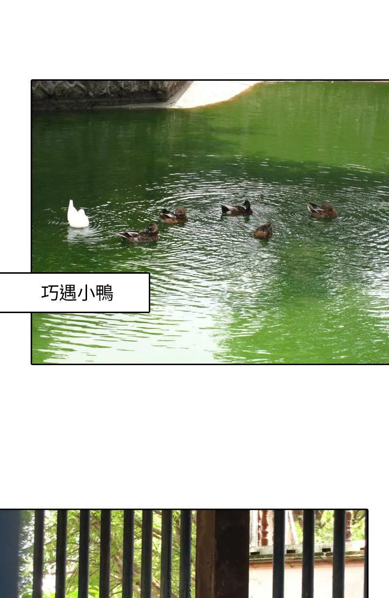 取材拍照心得小花絮 第11页