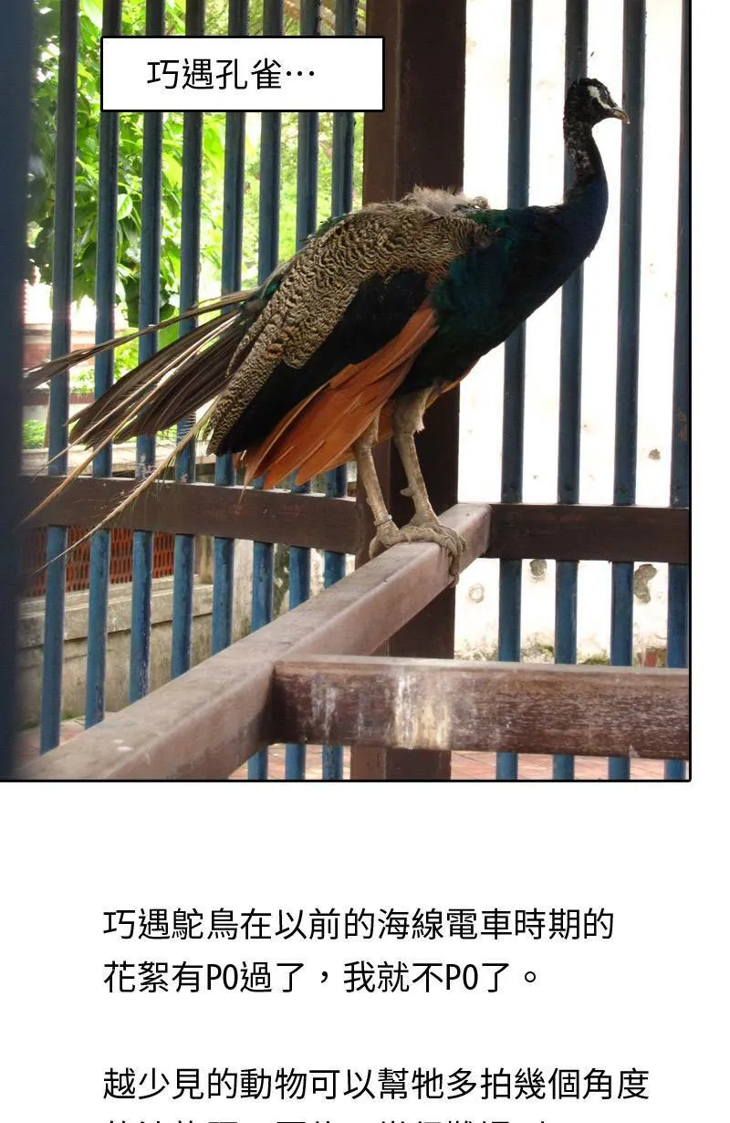 取材拍照心得小花絮 第12页