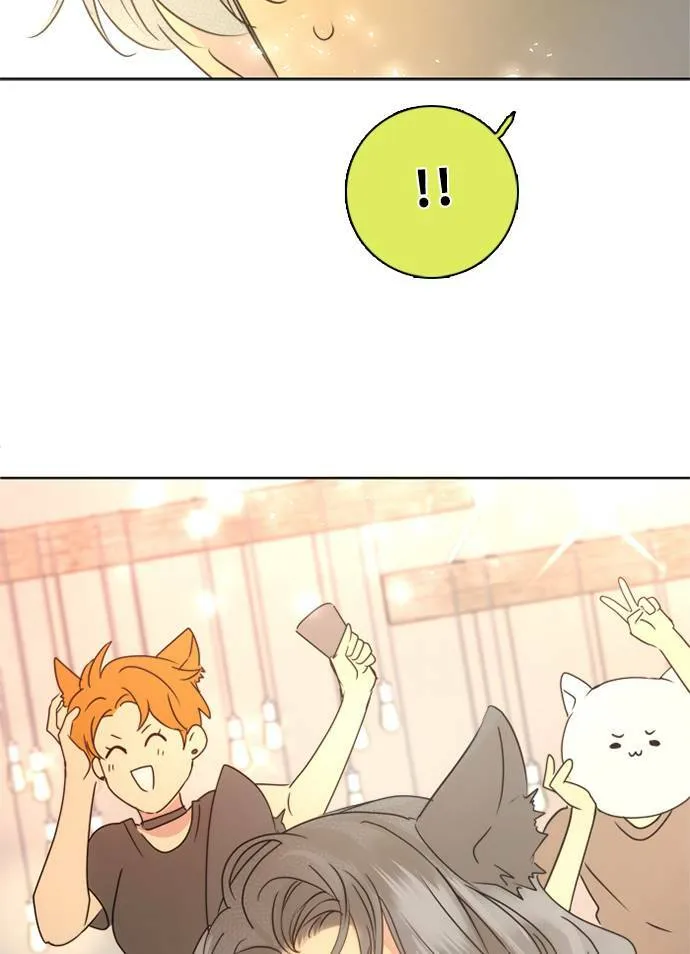 [第3季] 第36话 努力 第34页