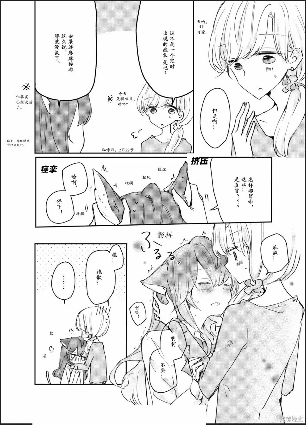 cat festival 第2页