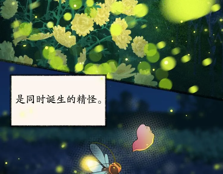 第110话 花影与流萤 第3页
