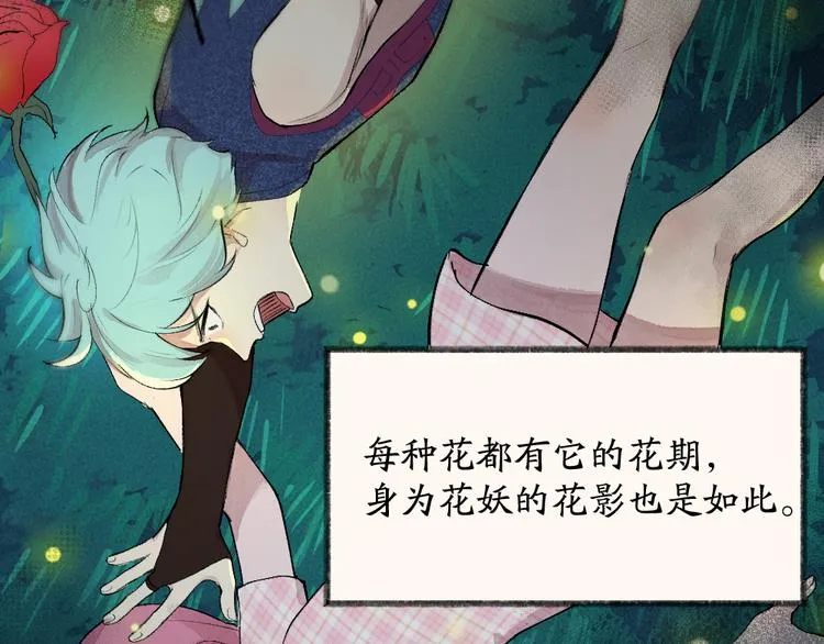 第110话 花影与流萤 第35页