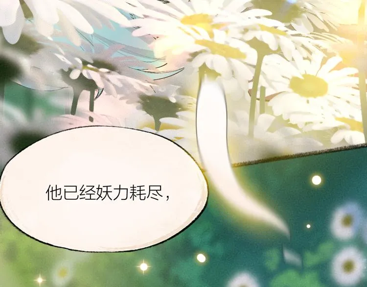 第110话 花影与流萤 第75页