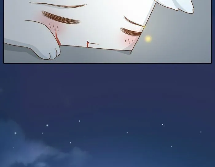 第8话 为了保护小和尚小狐狸身负重伤！ 第16页