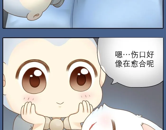 第8话 为了保护小和尚小狐狸身负重伤！ 第19页