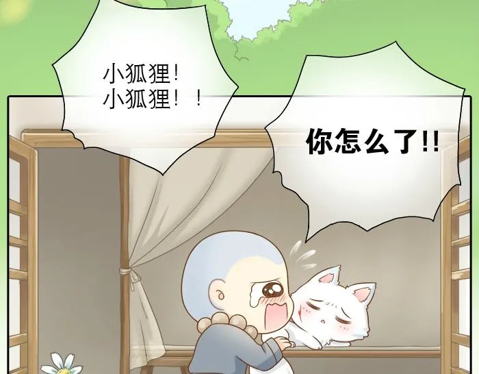 第8话 为了保护小和尚小狐狸身负重伤！ 第24页