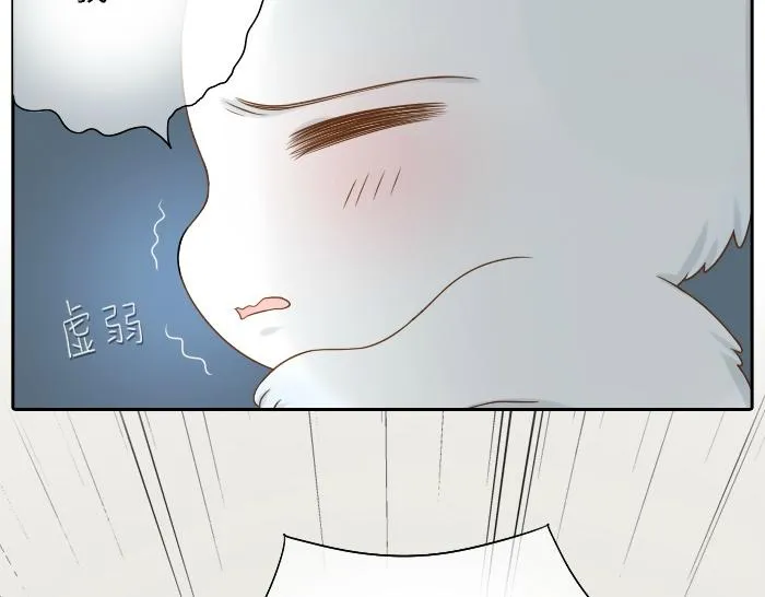 第8话 为了保护小和尚小狐狸身负重伤！ 第27页