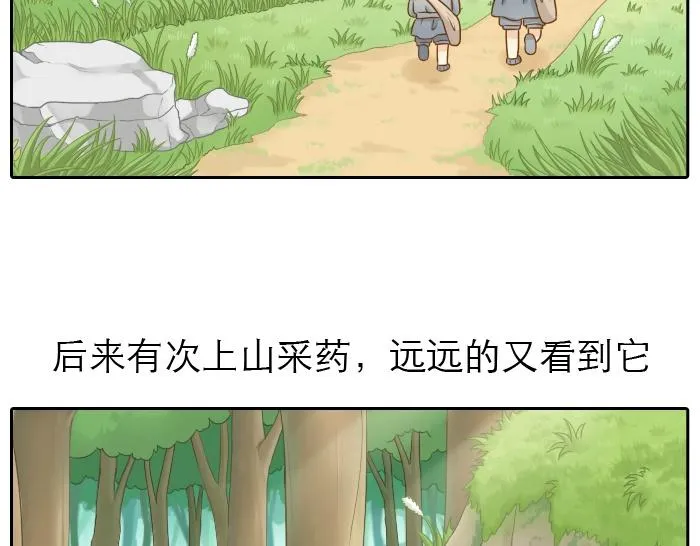 第9话 小和尚与小狐狸的前缘趣事儿 第5页