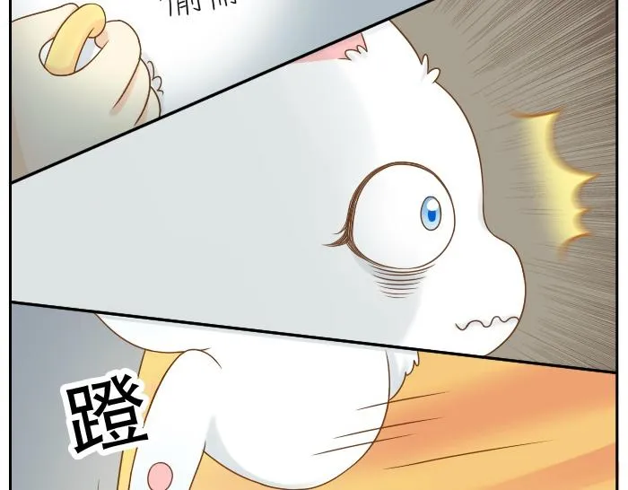 第9话 小和尚与小狐狸的前缘趣事儿 第22页