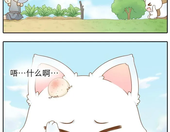 第12话 多日不见，小狐狸为何却跟踪小和尚？ 第10页