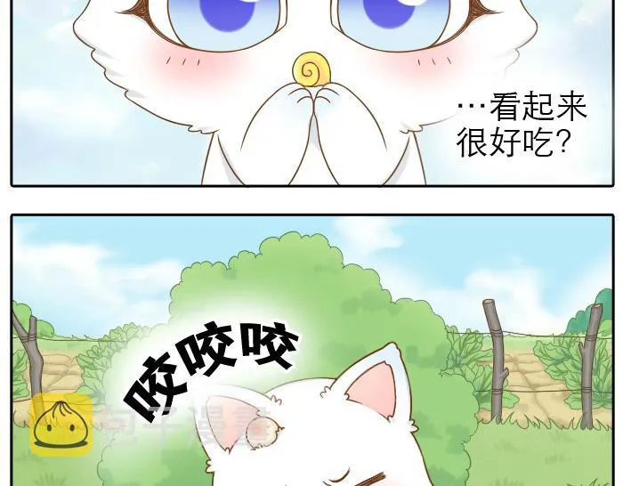 第12话 多日不见，小狐狸为何却跟踪小和尚？ 第12页