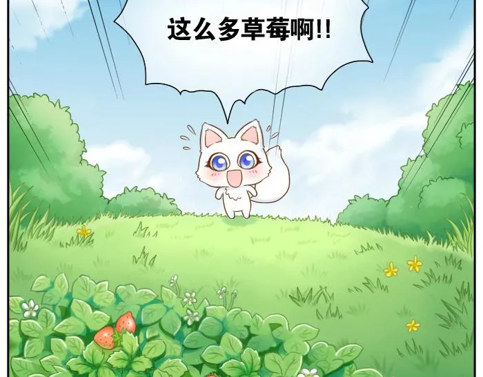 第14话 小和尚给的草莓都甜到心里去了呢~ 第5页