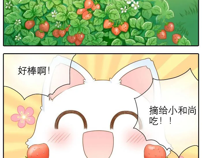 第14话 小和尚给的草莓都甜到心里去了呢~ 第6页