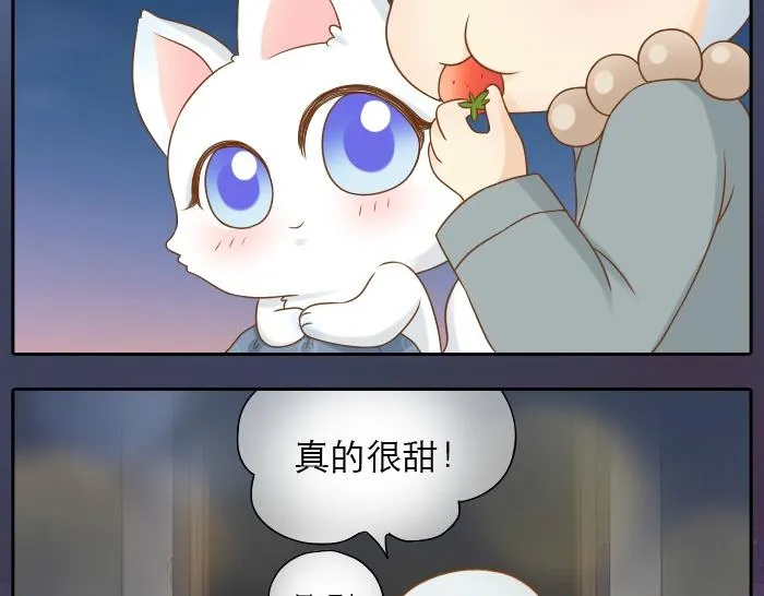 第14话 小和尚给的草莓都甜到心里去了呢~ 第34页