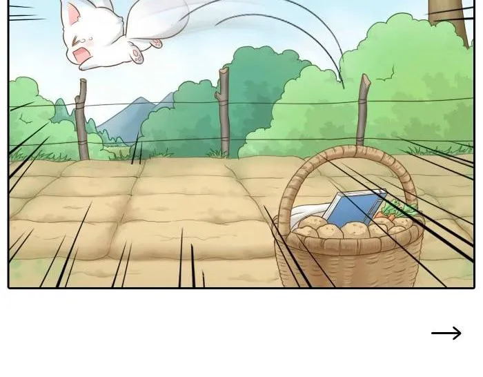 第36话 你竟然看这种书！ 第15页