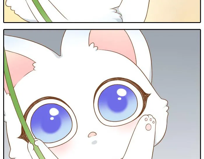 第43话 我不该和你走得这么近 第13页