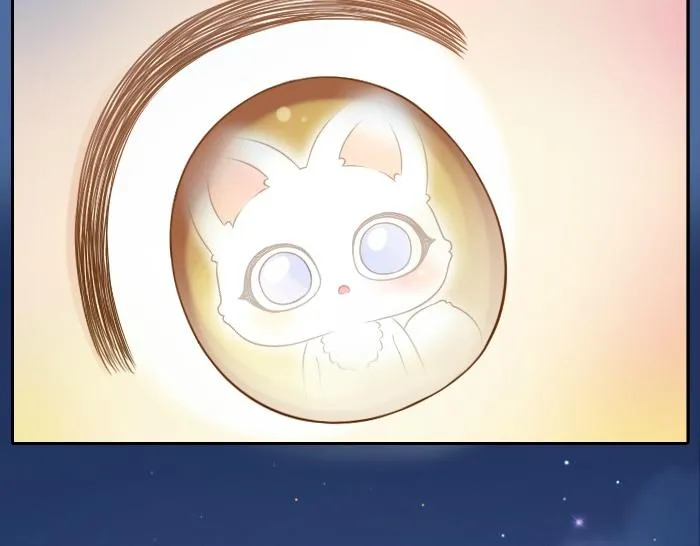 第44话 你的宝藏在哪呢？ 第24页
