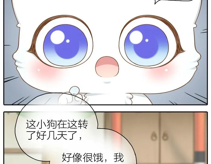 第46话 你是不是忘了什么事情？ 第4页