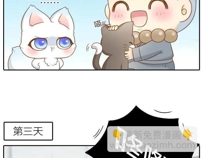 第46话 你是不是忘了什么事情？ 第11页