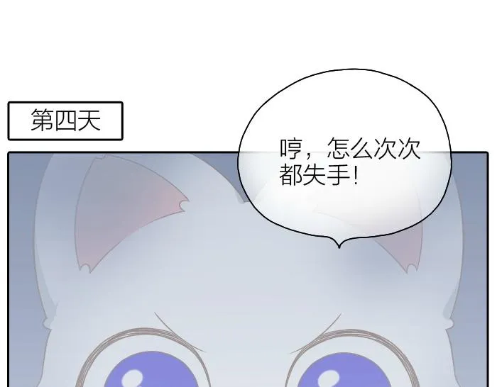 第47话 小狐狸失踪了 第17页