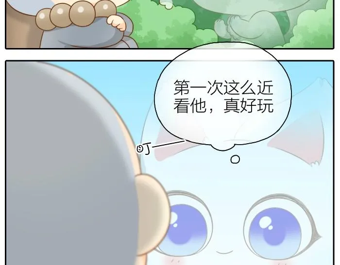 第47话 小狐狸失踪了 第22页