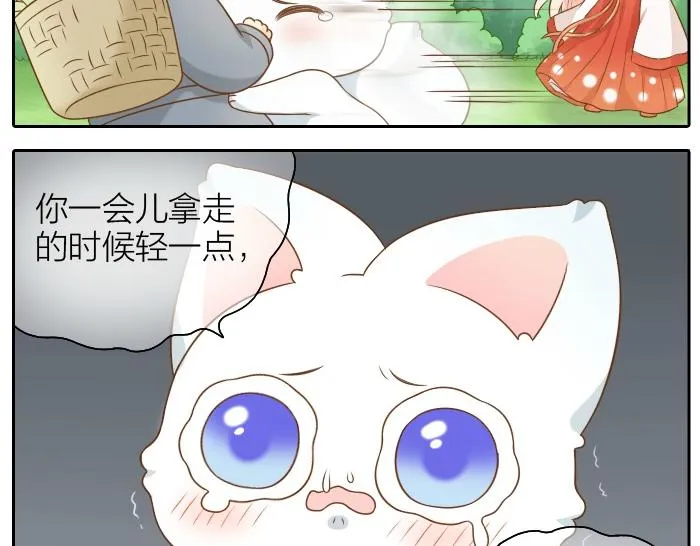 第51话 为了救人，尾巴你拿走吧！ 第15页