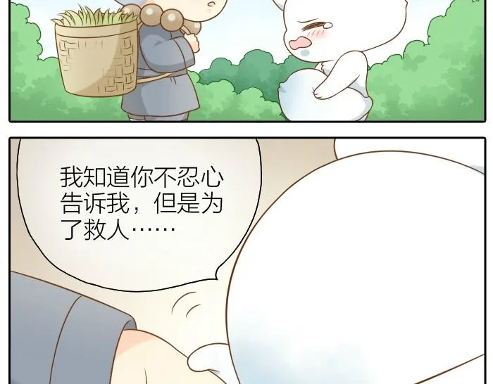 第51话 为了救人，尾巴你拿走吧！ 第17页