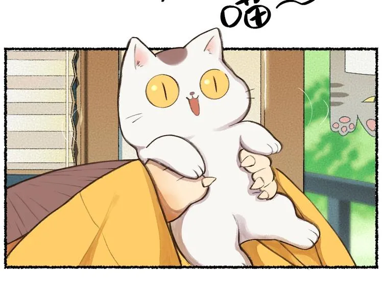 番外 猫容婆 第21页