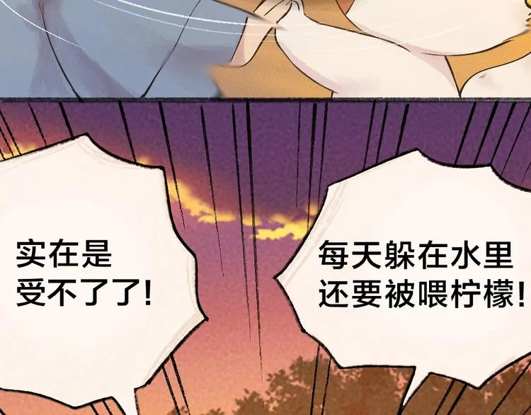 第38话 照片 第50页