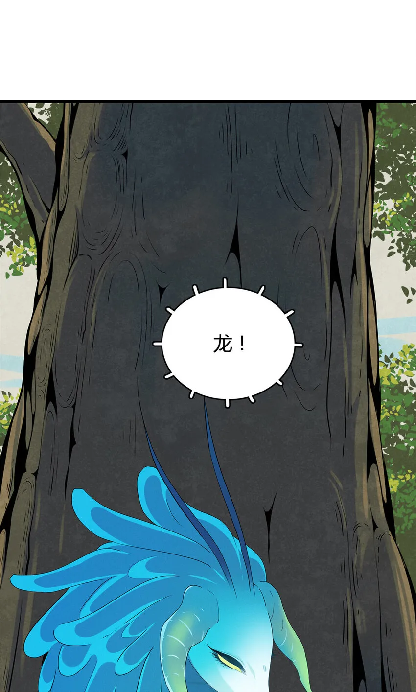 13 体内的强大封印 第14页