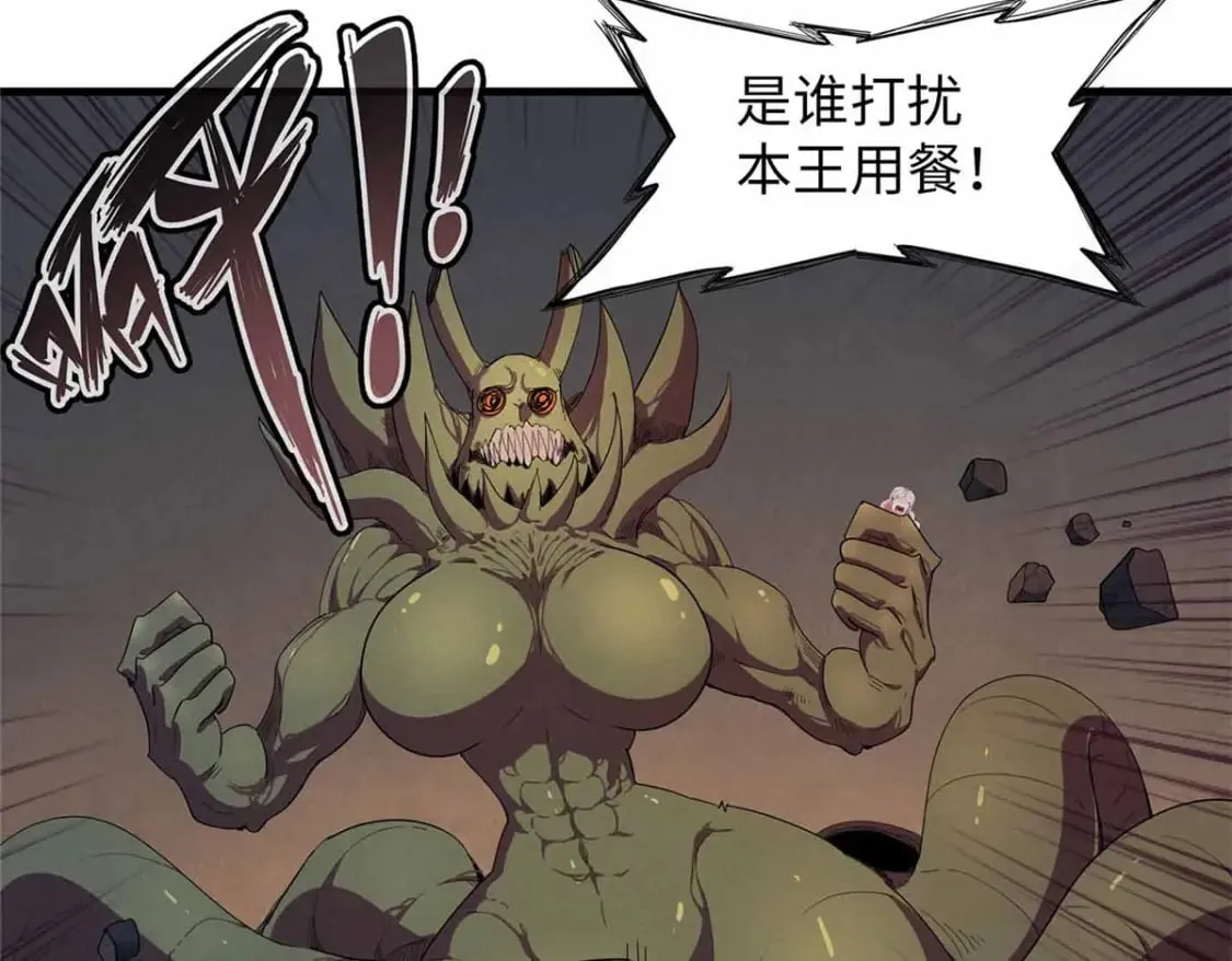114 新铜麻镇 第13页