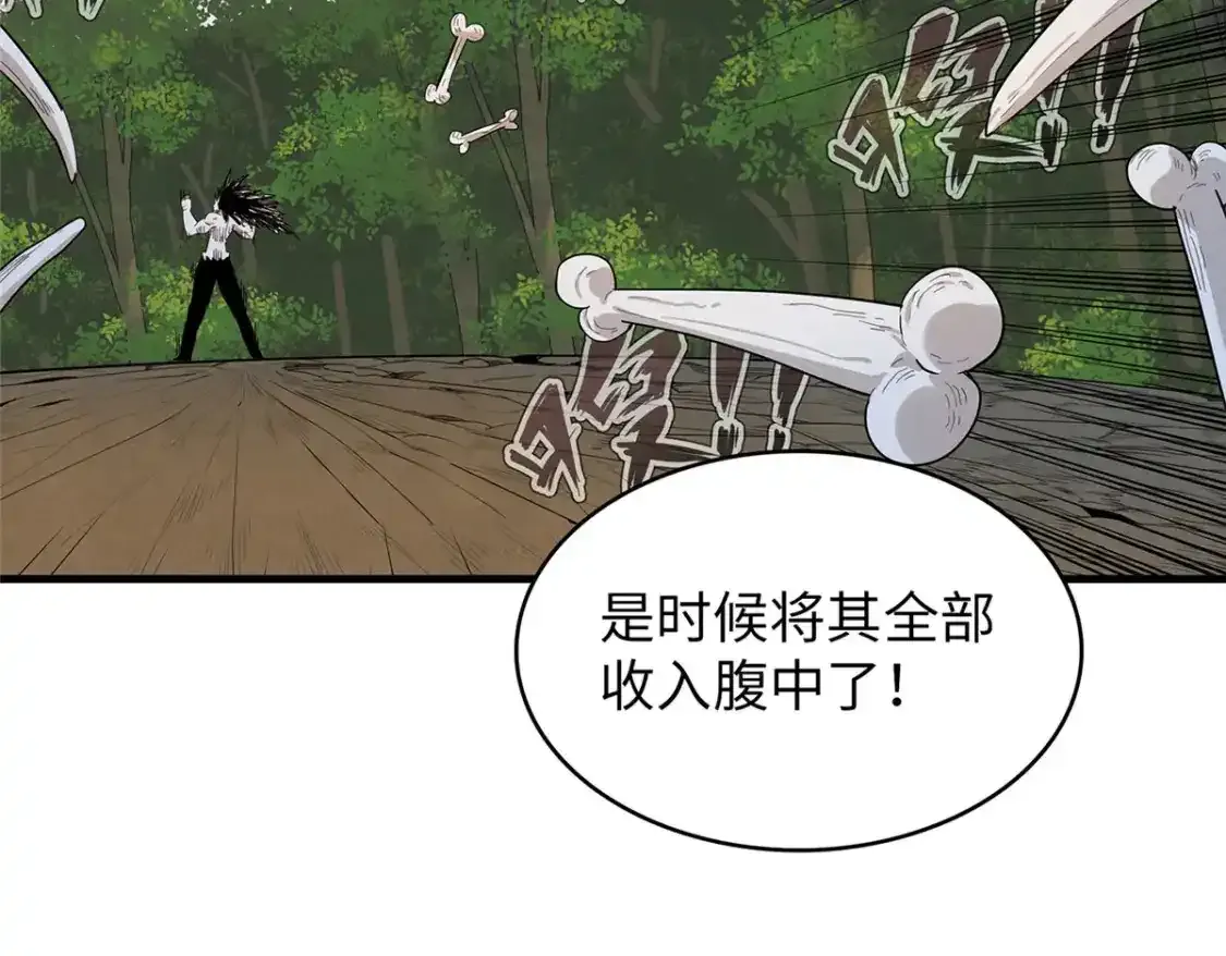 44 骨龙骑士最终形态 第96页