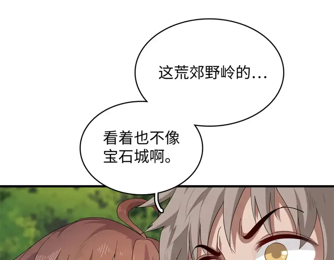 36 进入宝石城的必要条件 第78页