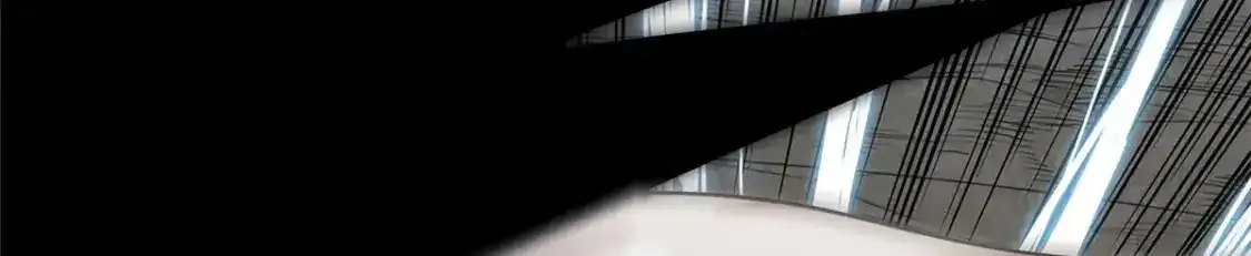 43 始作俑者！维兰！ 第110页